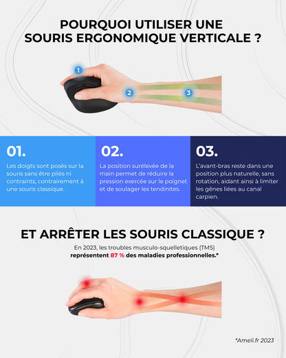 Souris Ergonomique Sans Fil HERGOZ™