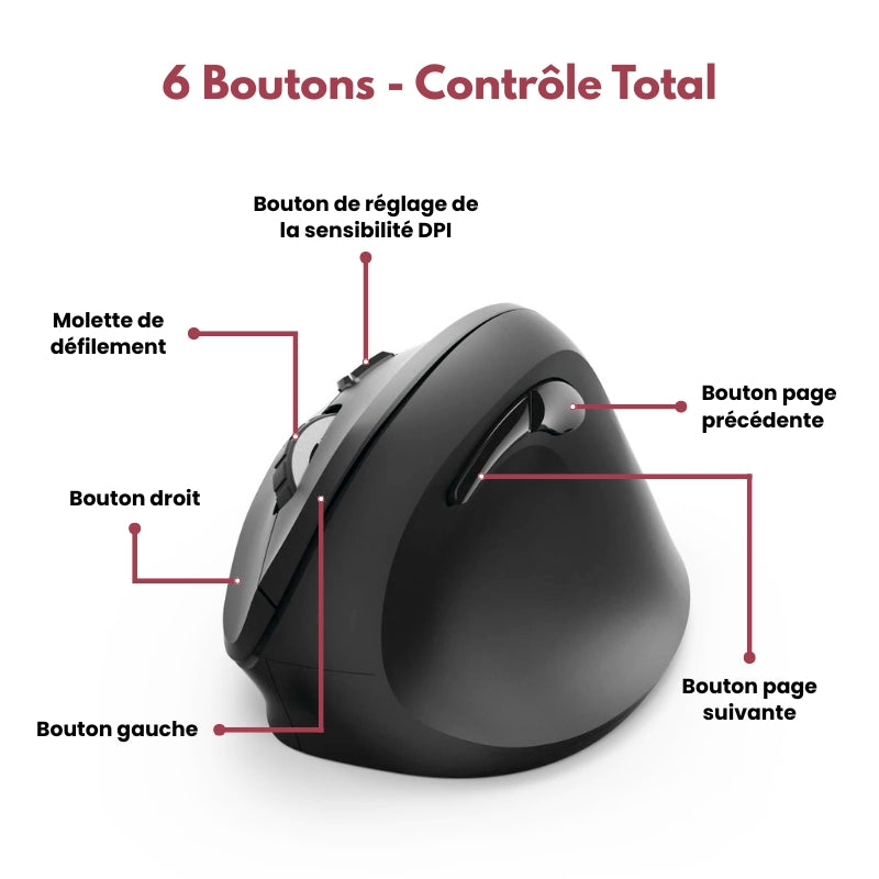 Souris Ergonomique Sans Fil HERGOZ™