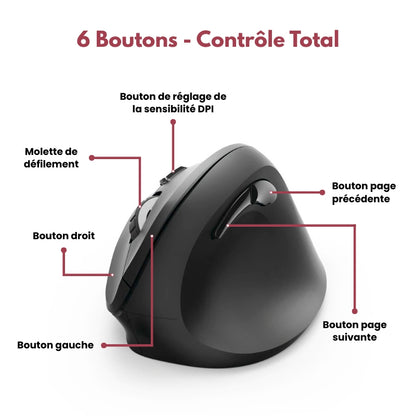 Souris Ergonomique Sans Fil HERGOZ™