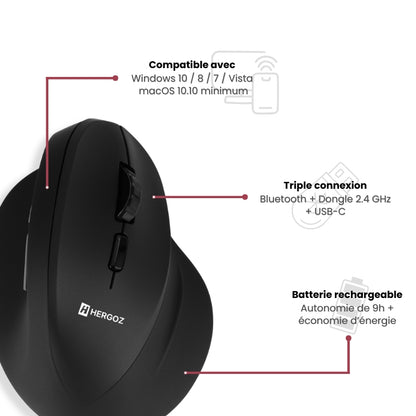Souris Ergonomique Sans Fil HERGOZ™