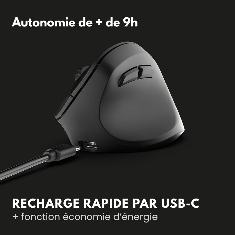 Souris Ergonomique Sans Fil HERGOZ™