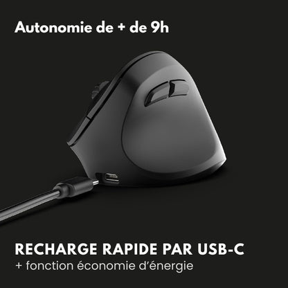 Souris Ergonomique Sans Fil HERGOZ™