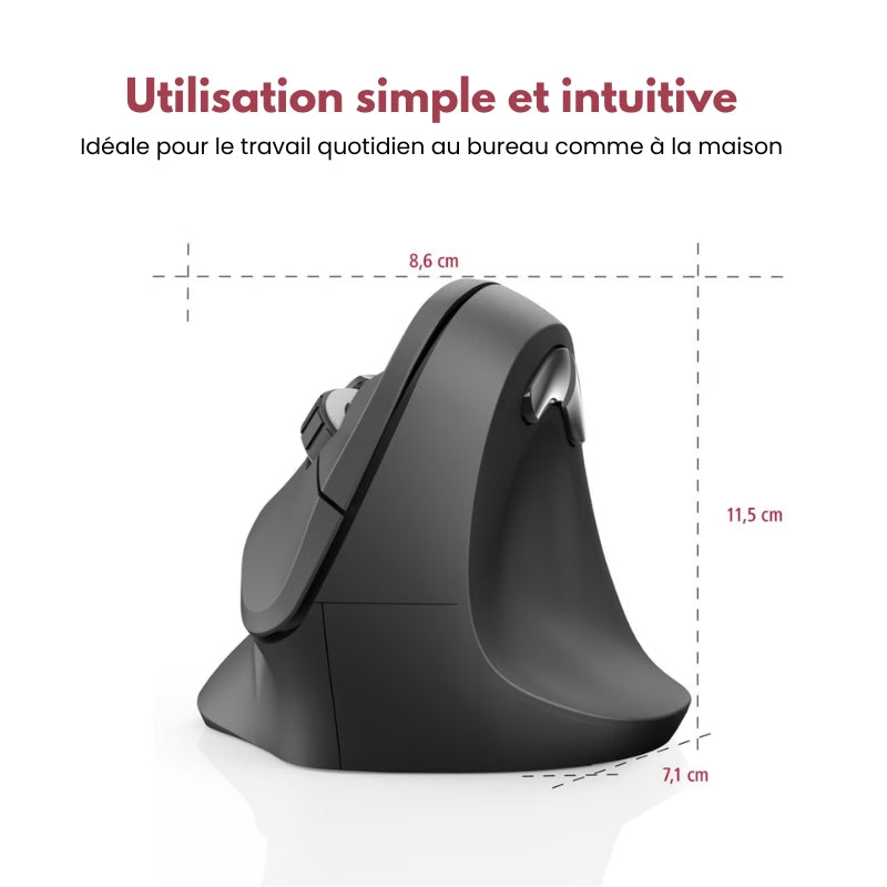 Souris Ergonomique Sans Fil HERGOZ™